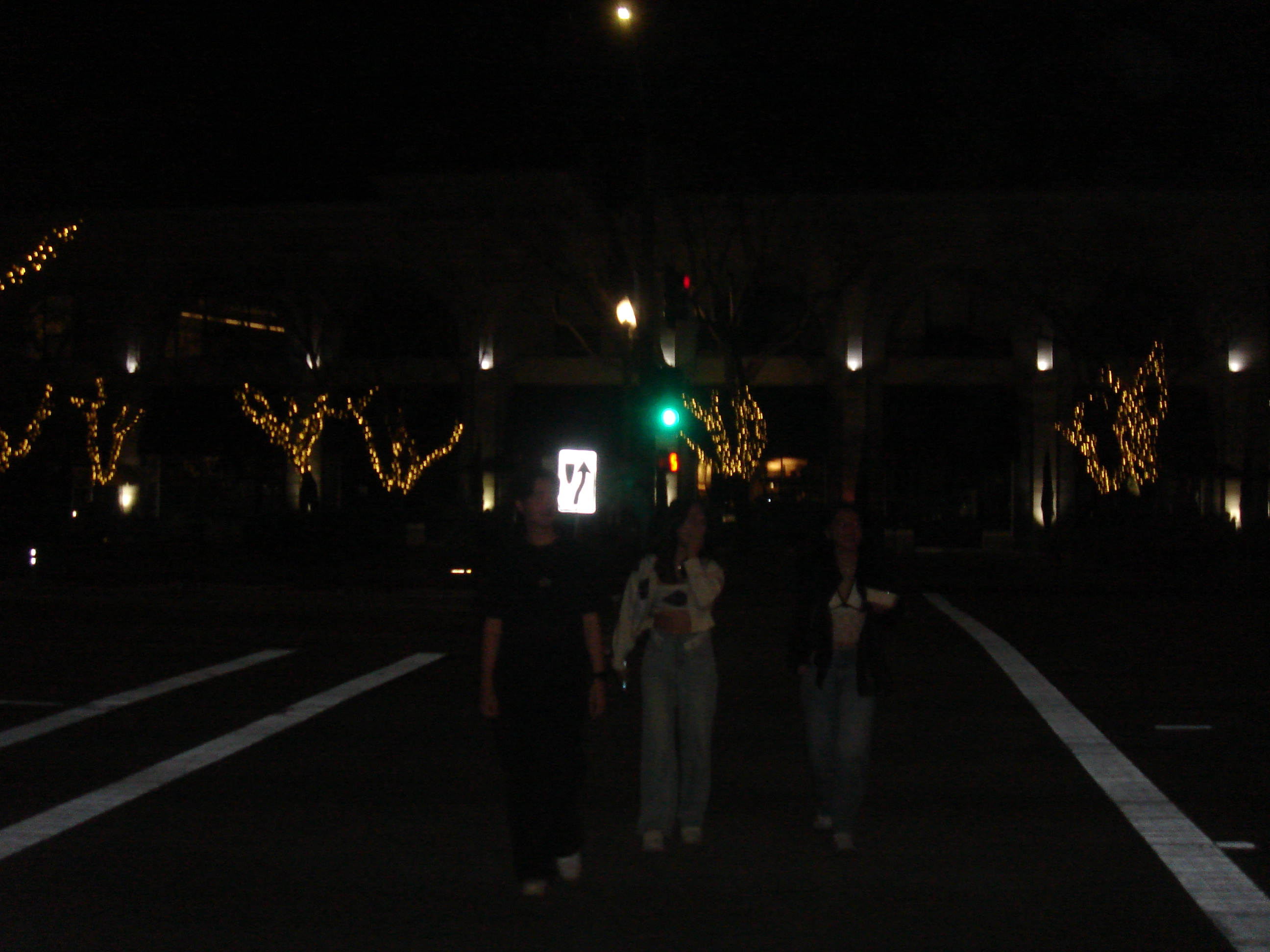 Uploaded image