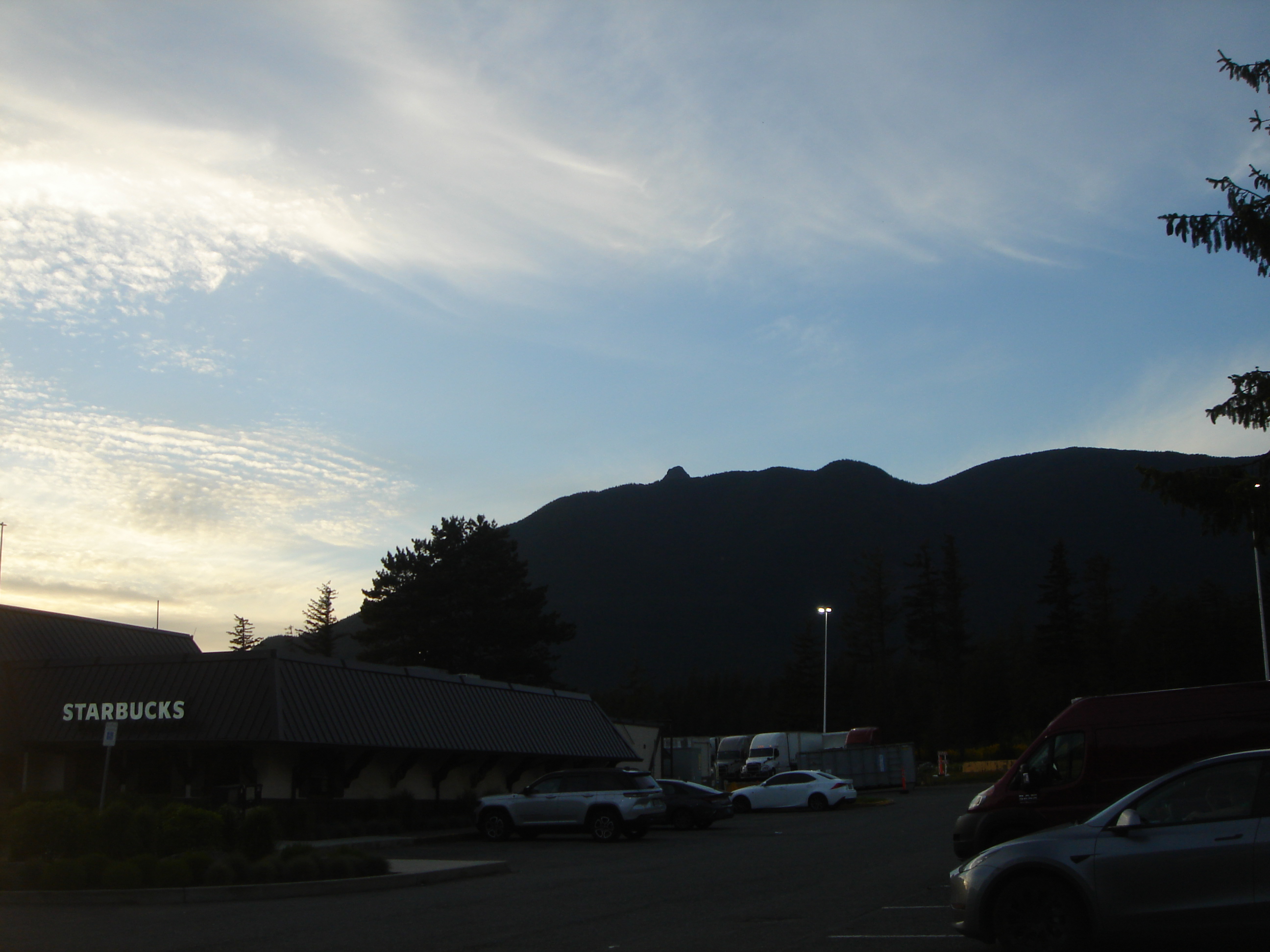 Uploaded image