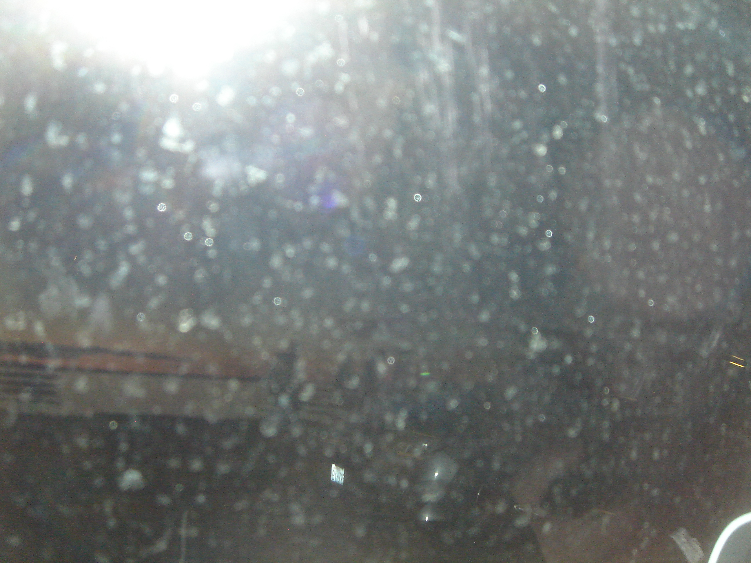 Uploaded image