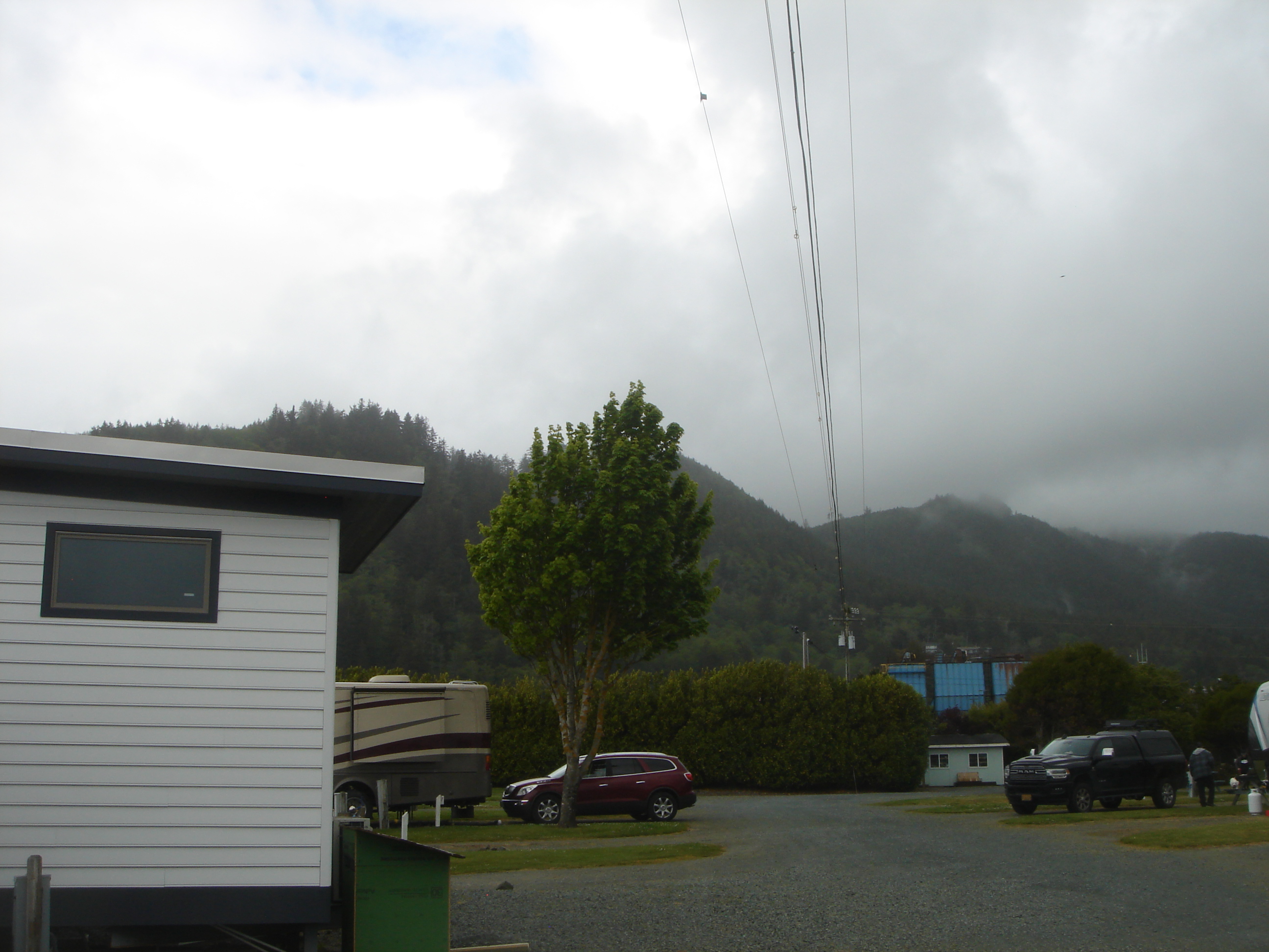 Uploaded image