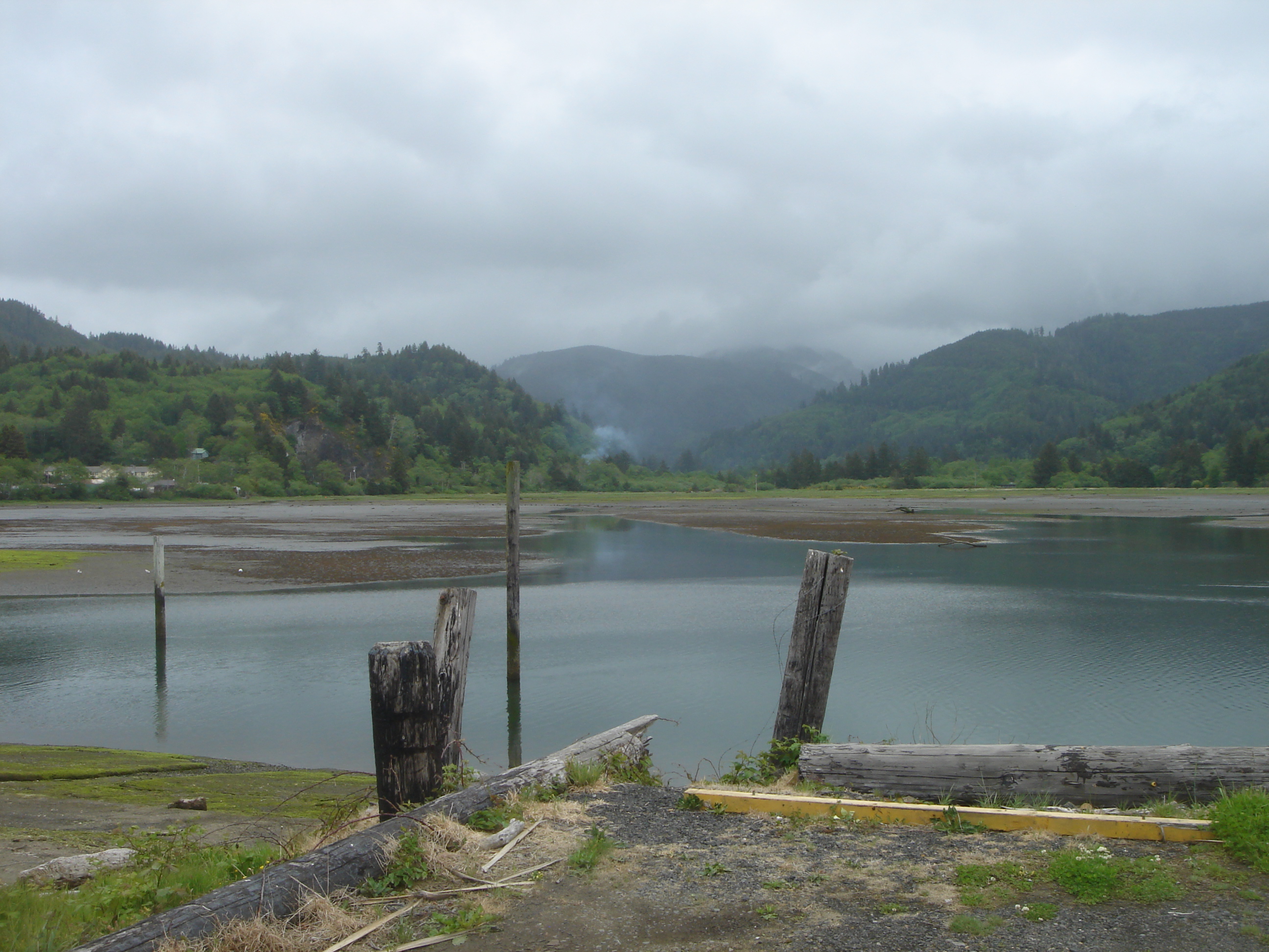 Uploaded image