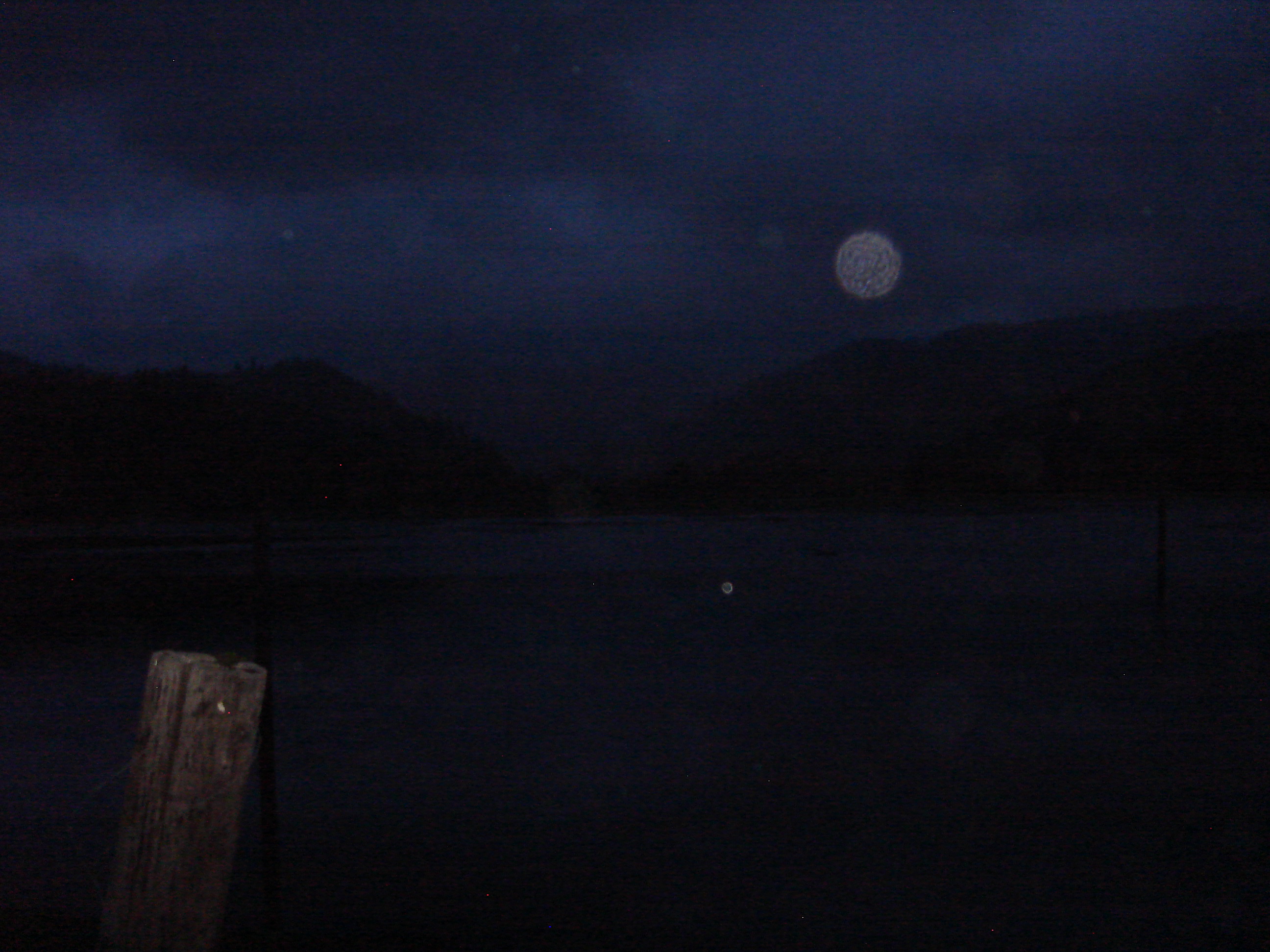 Uploaded image