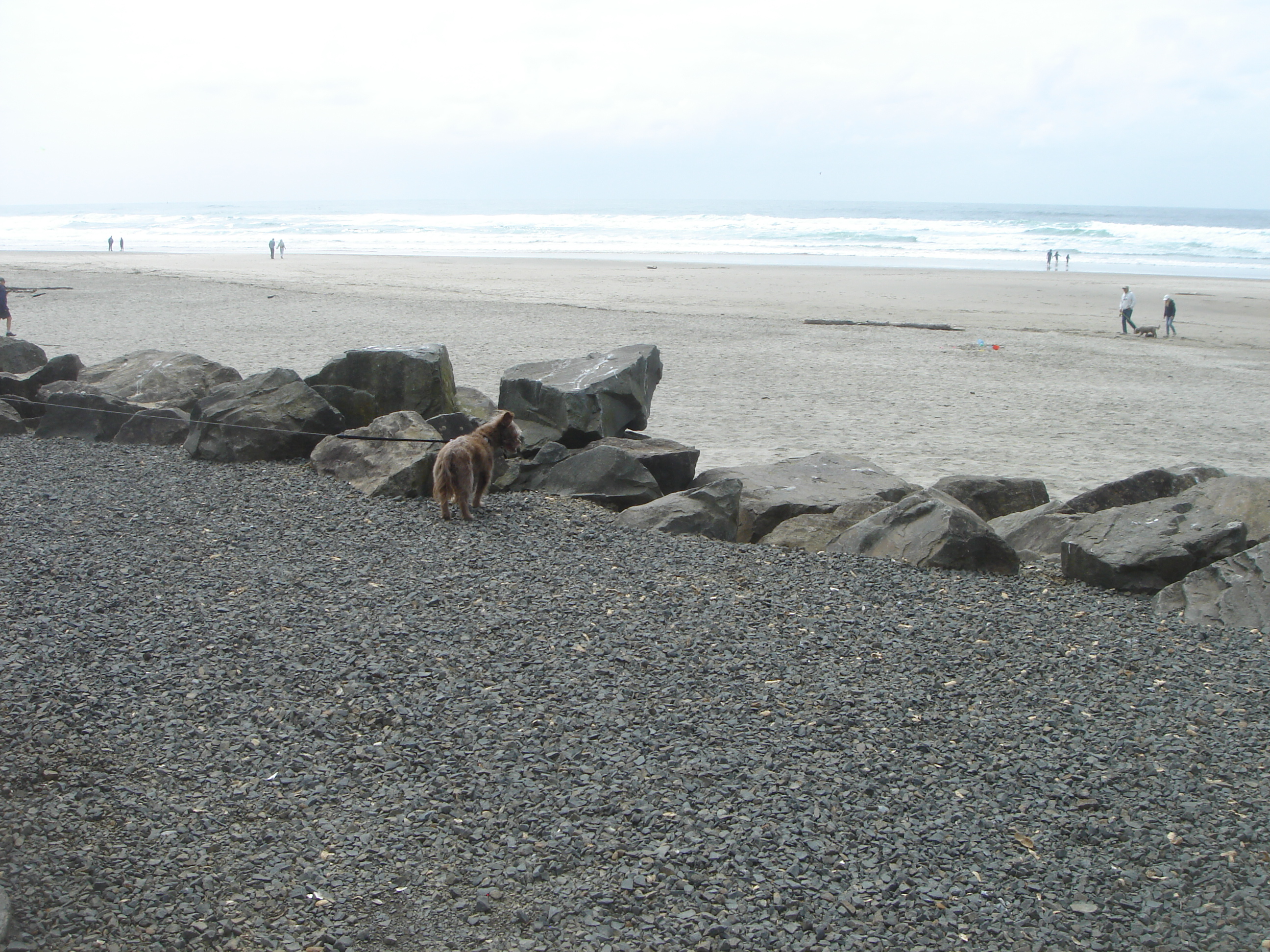 Uploaded image