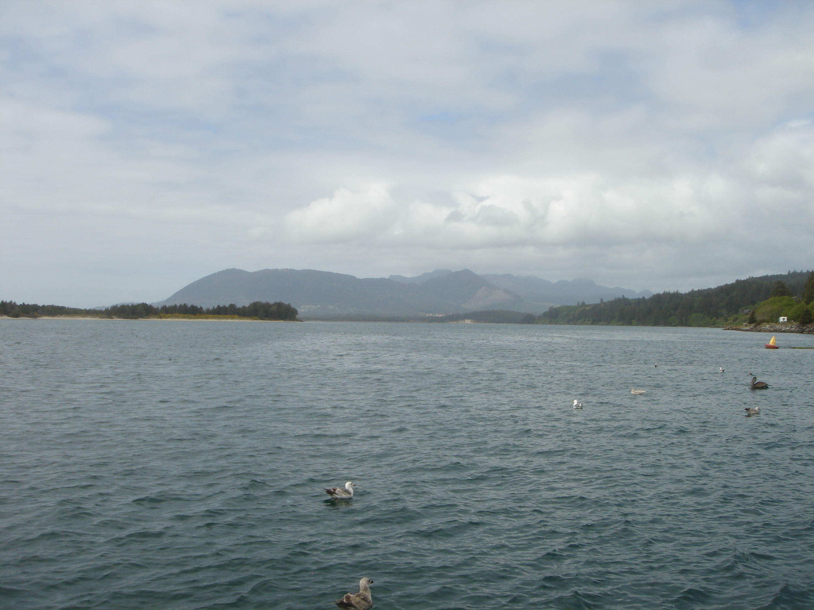 Uploaded image