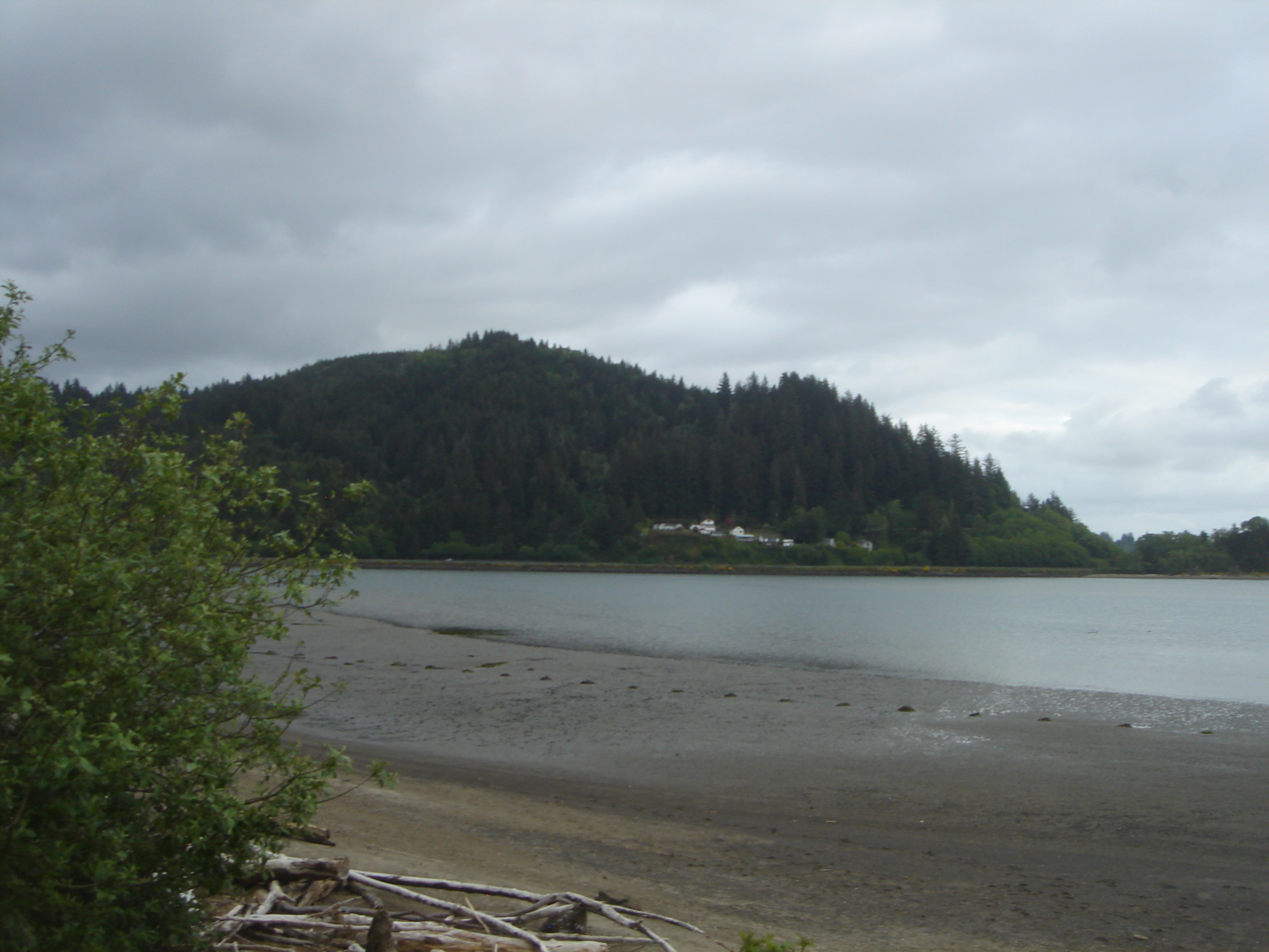 Uploaded image