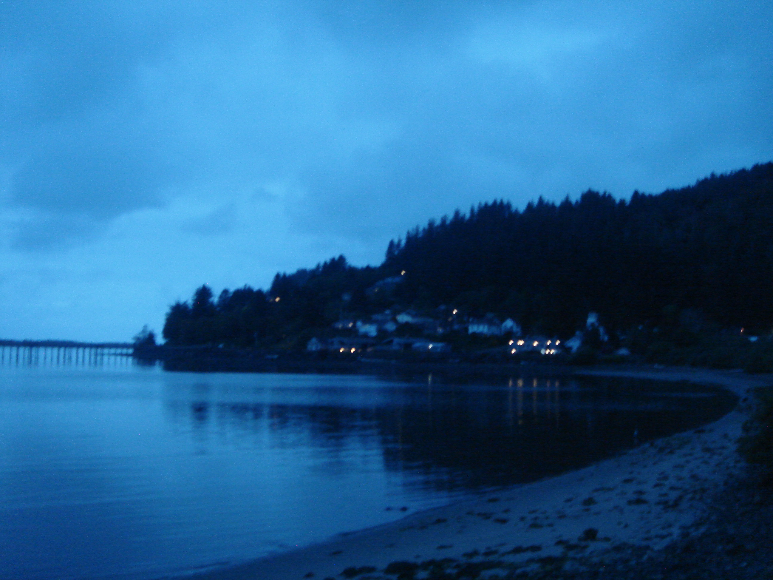 Uploaded image