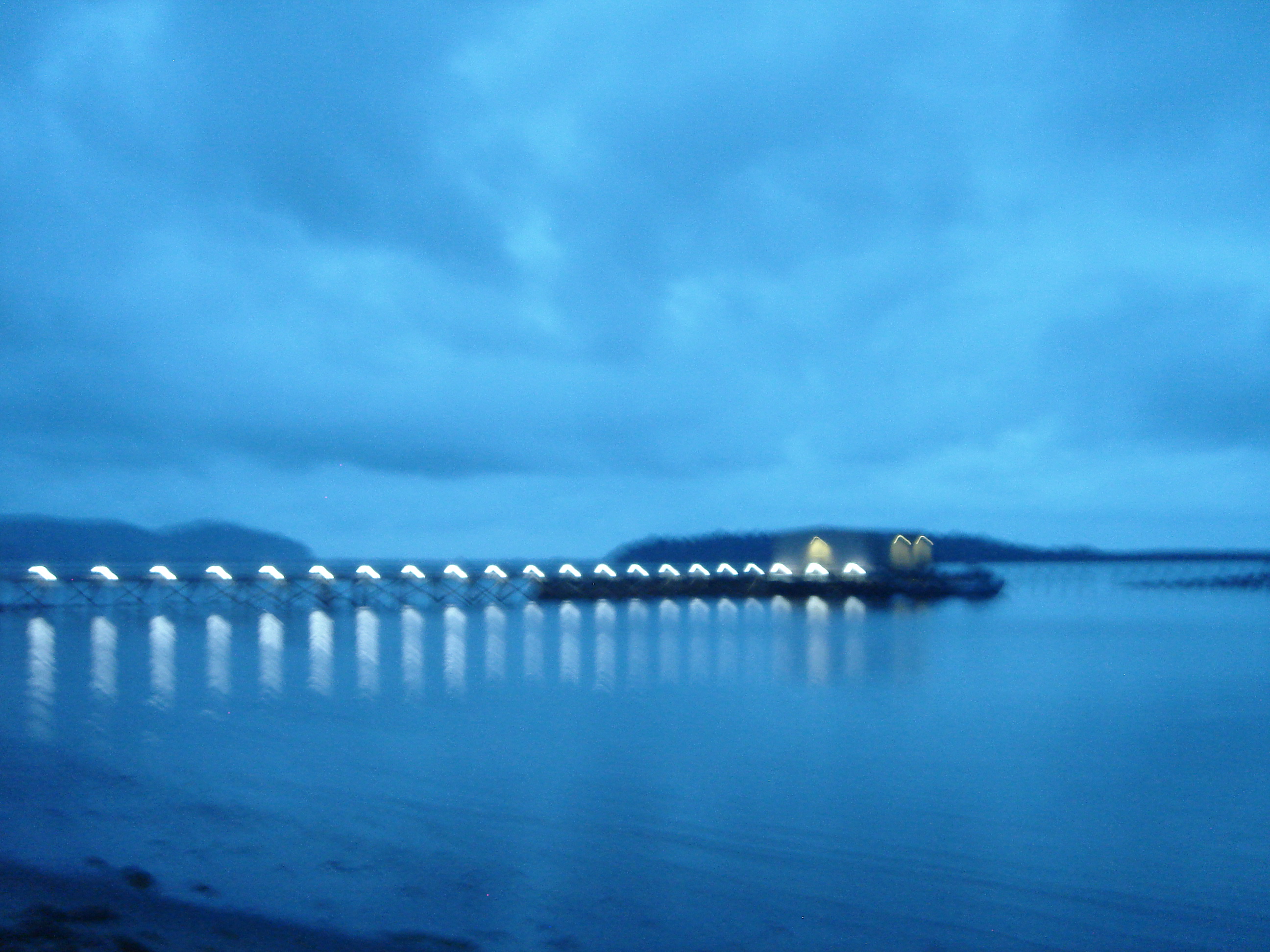 Uploaded image