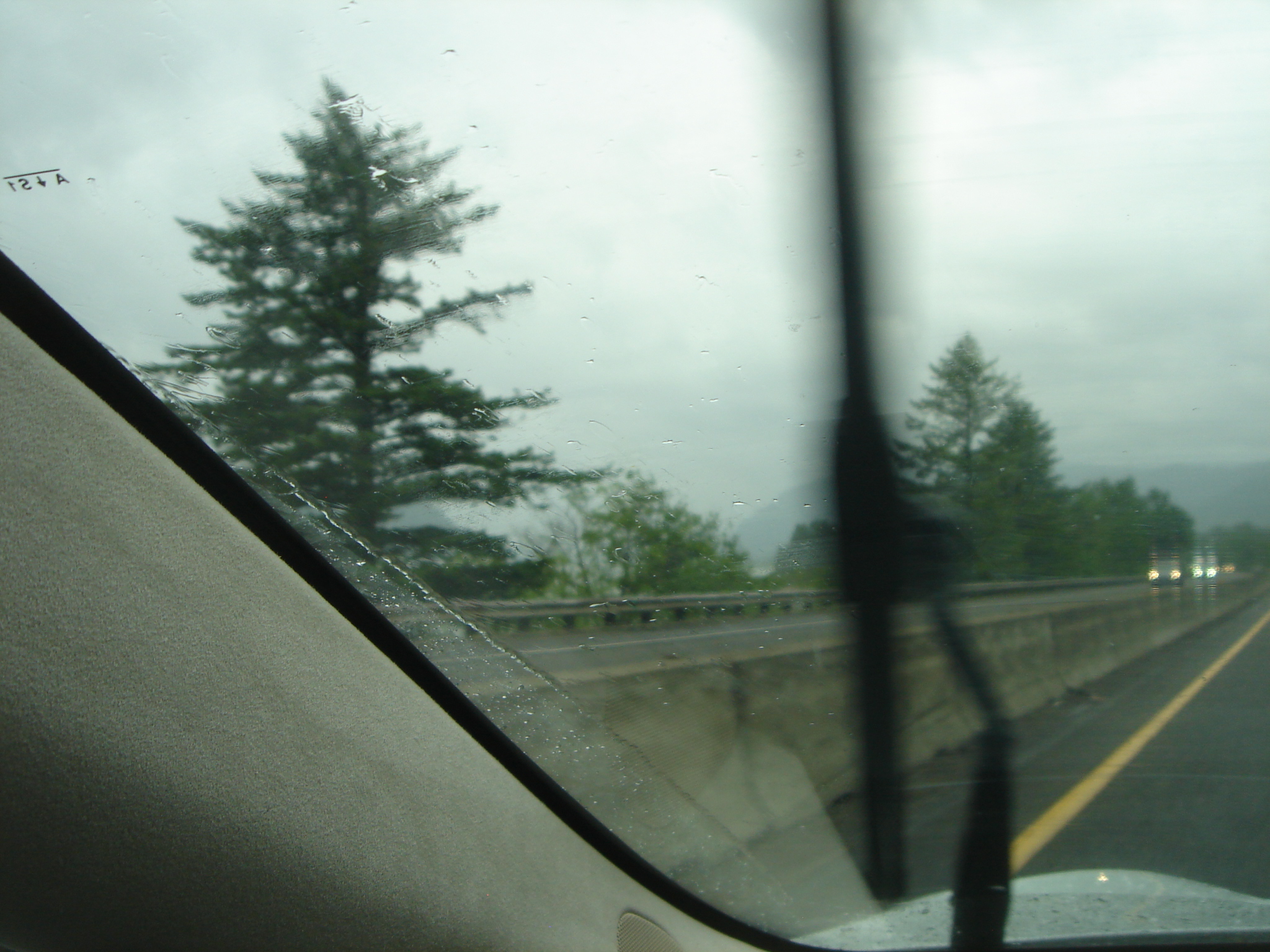 Uploaded image