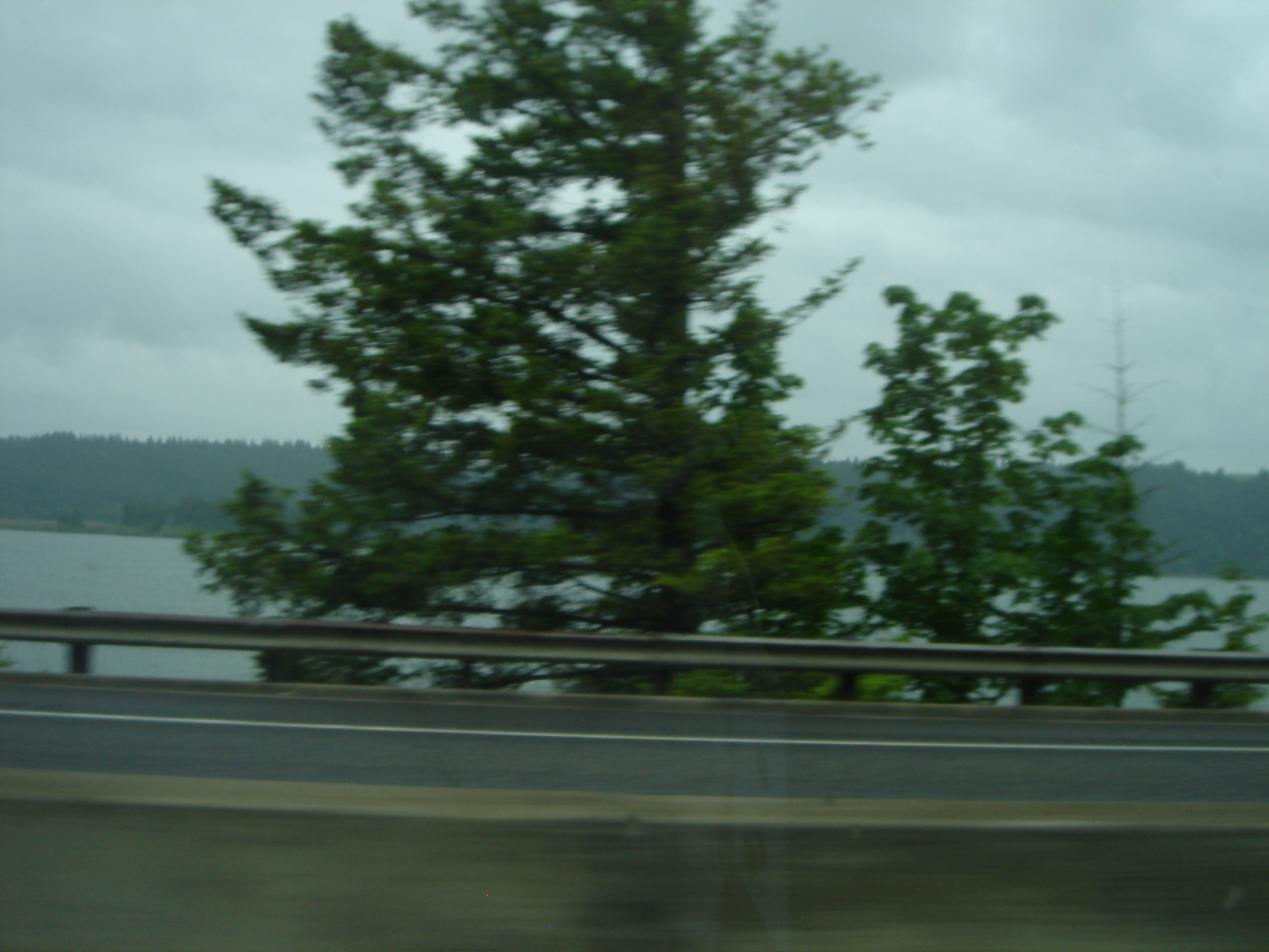 Uploaded image
