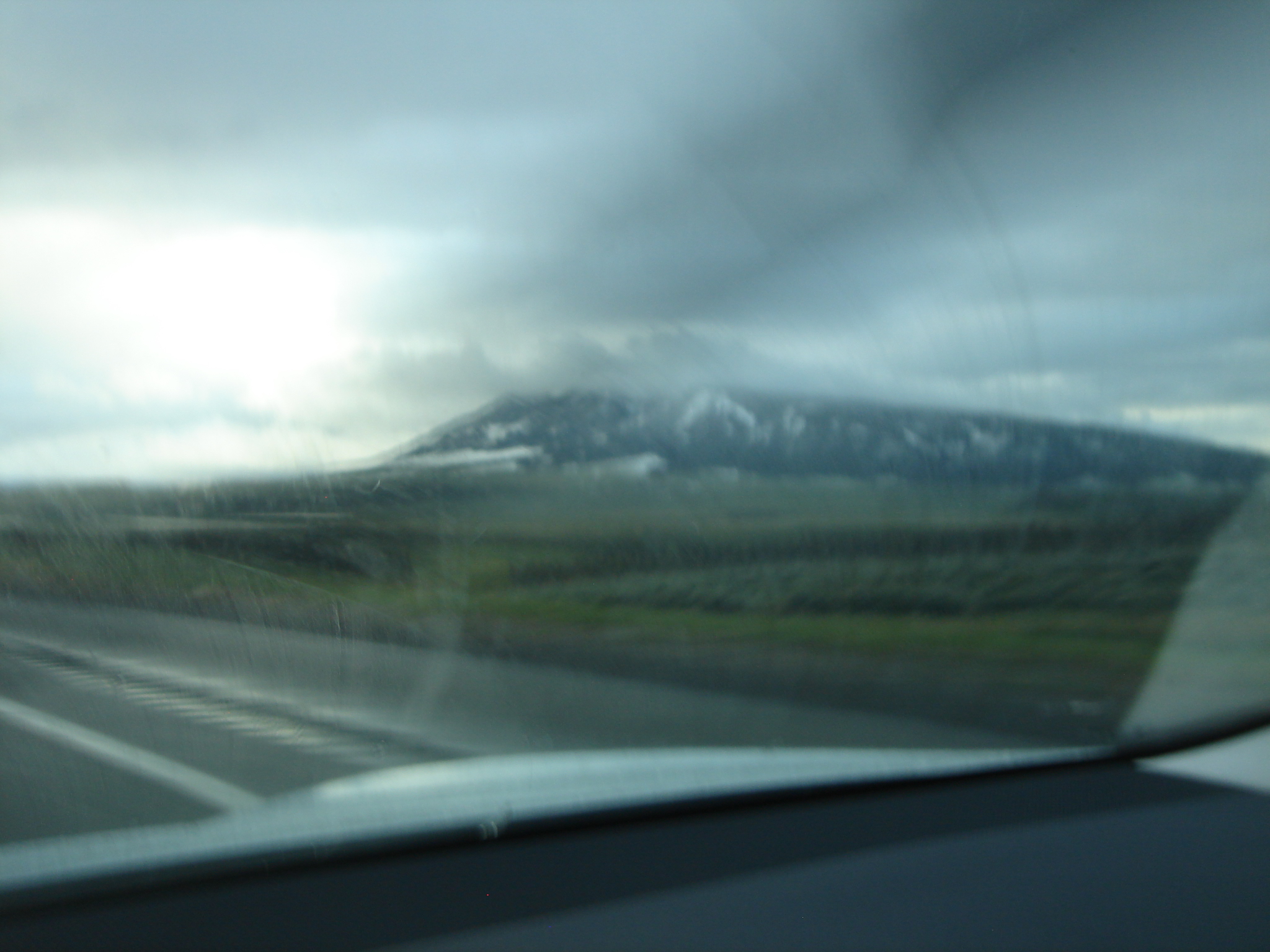 Uploaded image