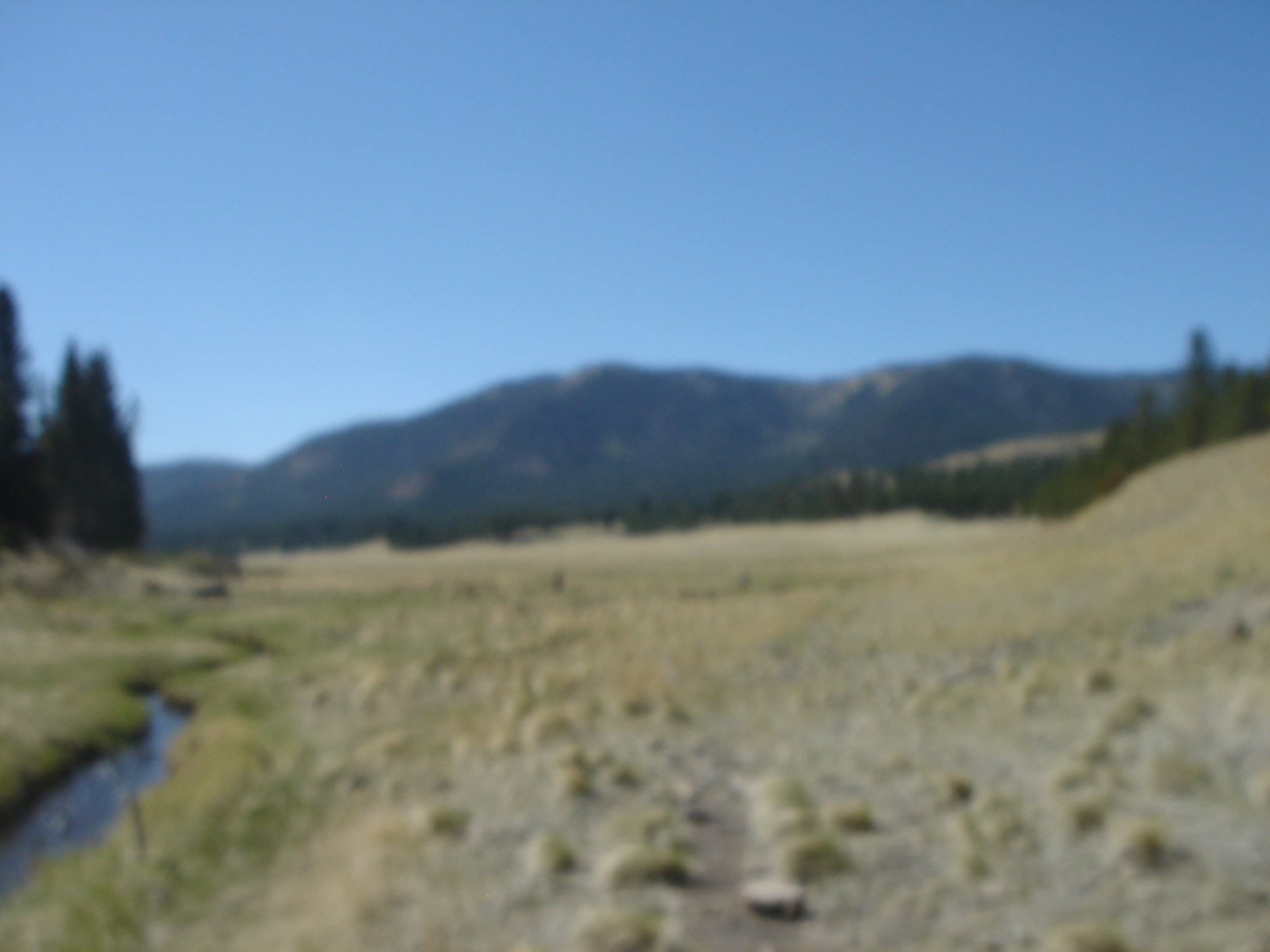 Uploaded image
