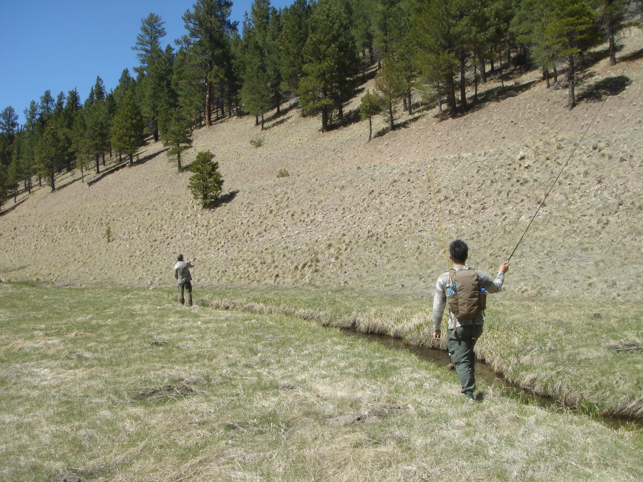 Uploaded image