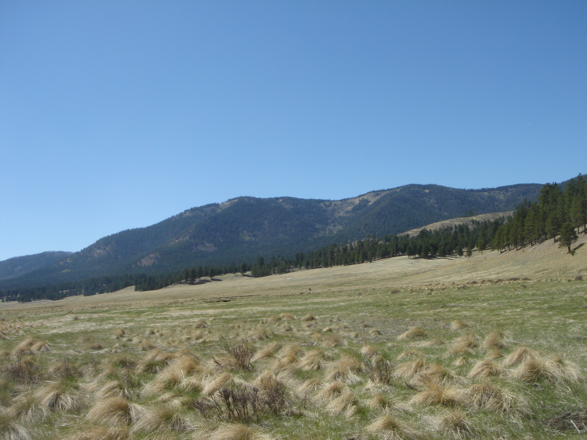 Uploaded image