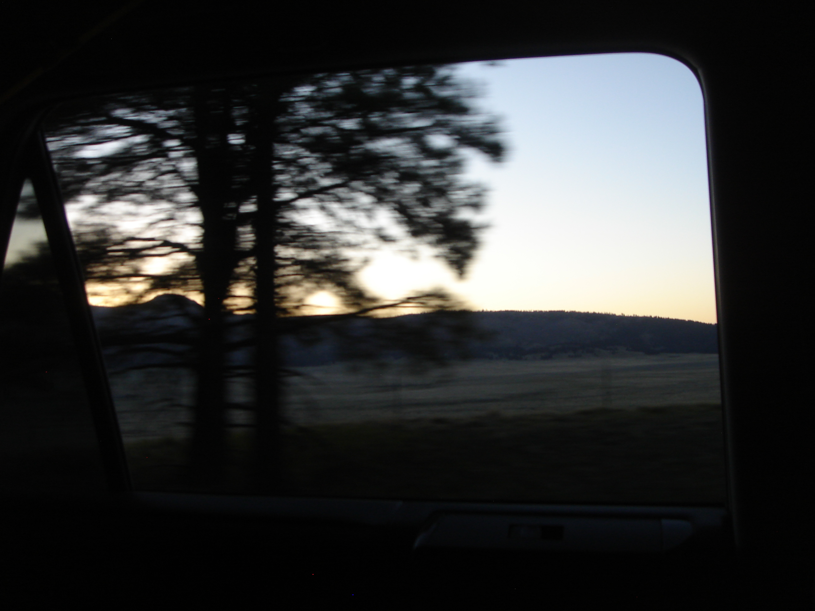 Uploaded image