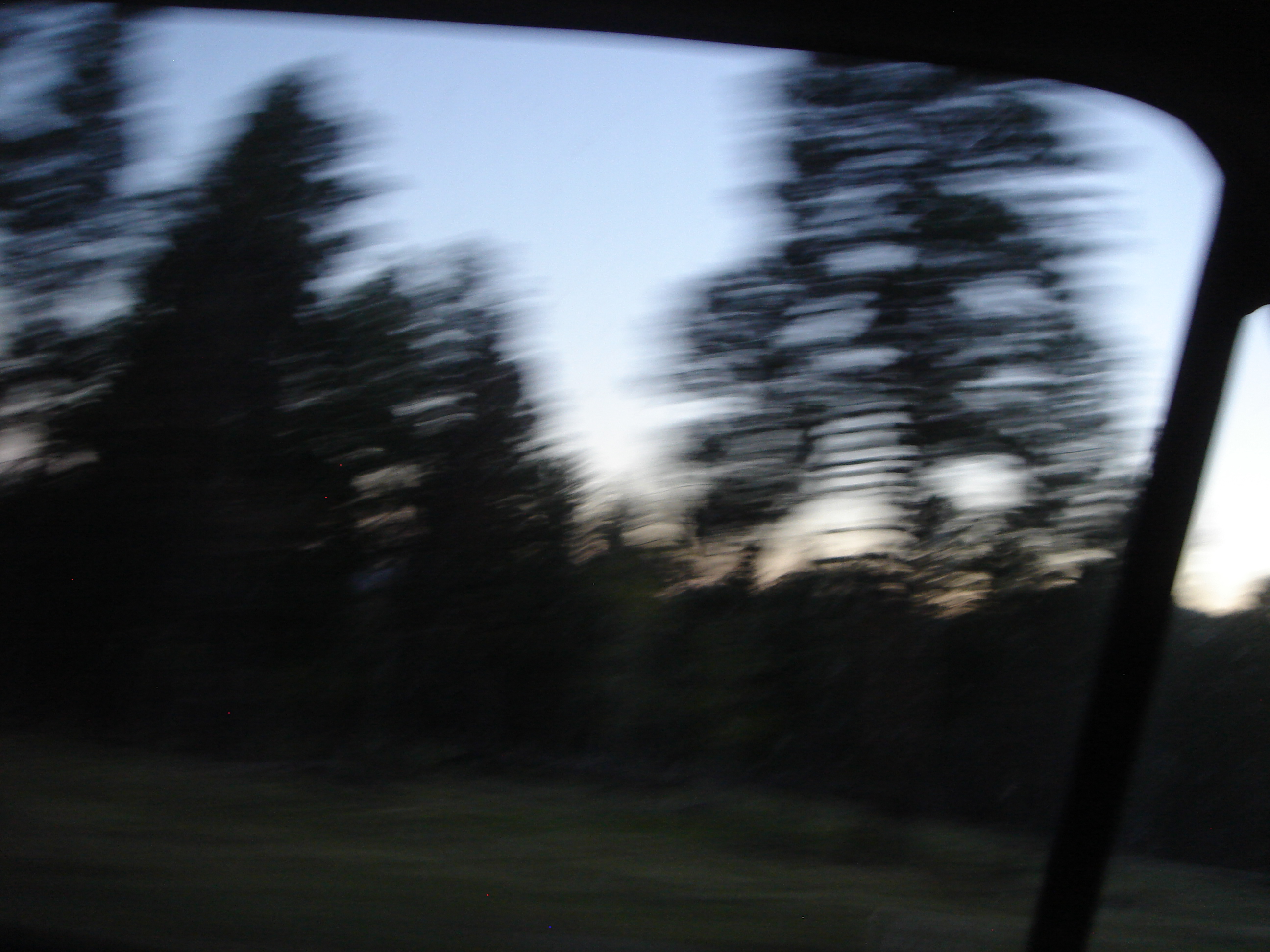 Uploaded image