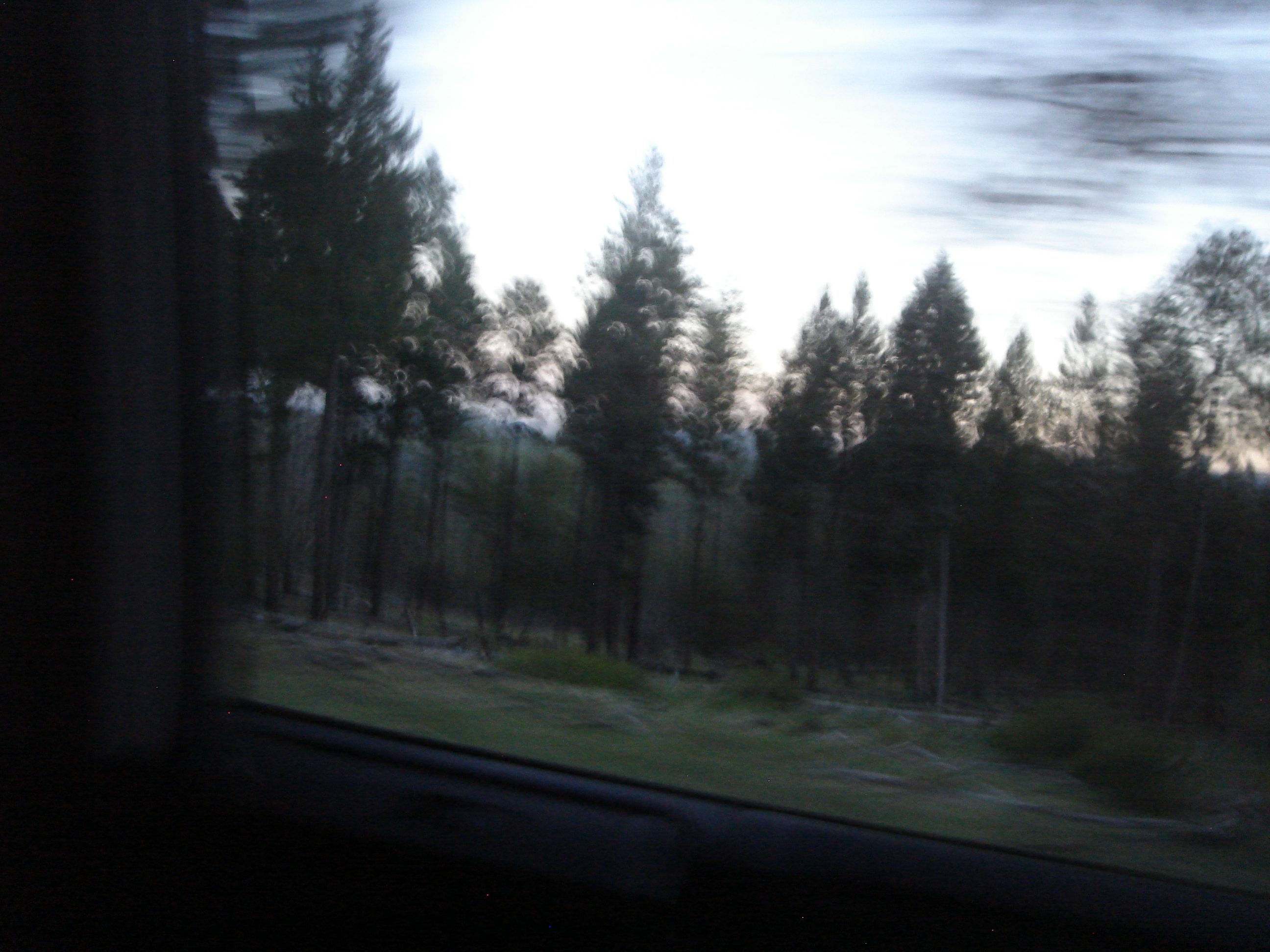 Uploaded image