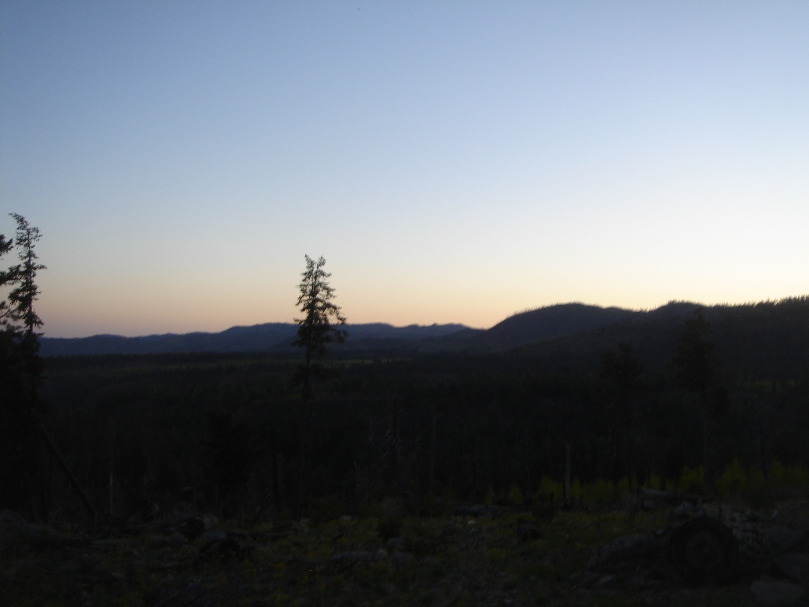 Uploaded image