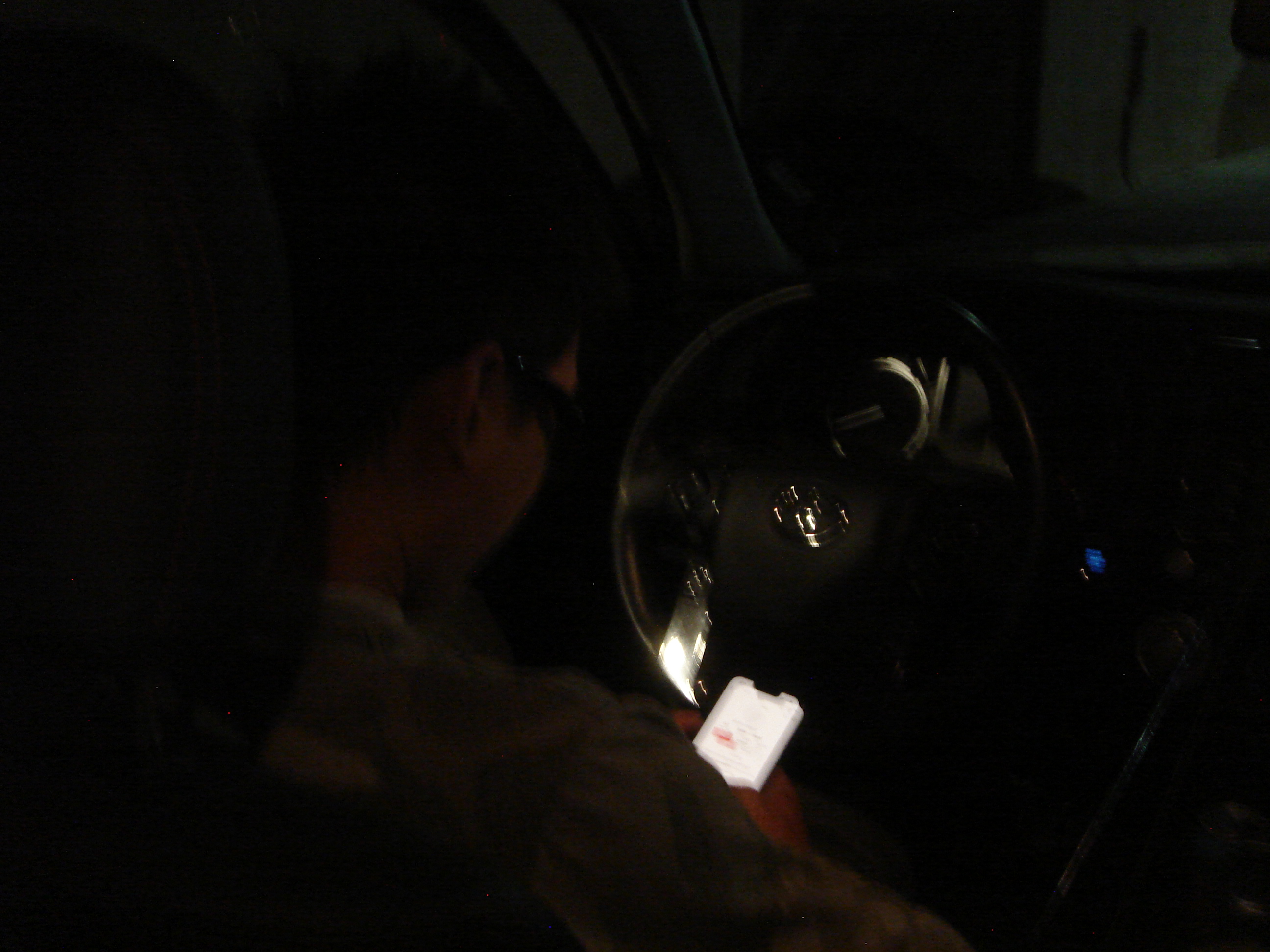 Uploaded image