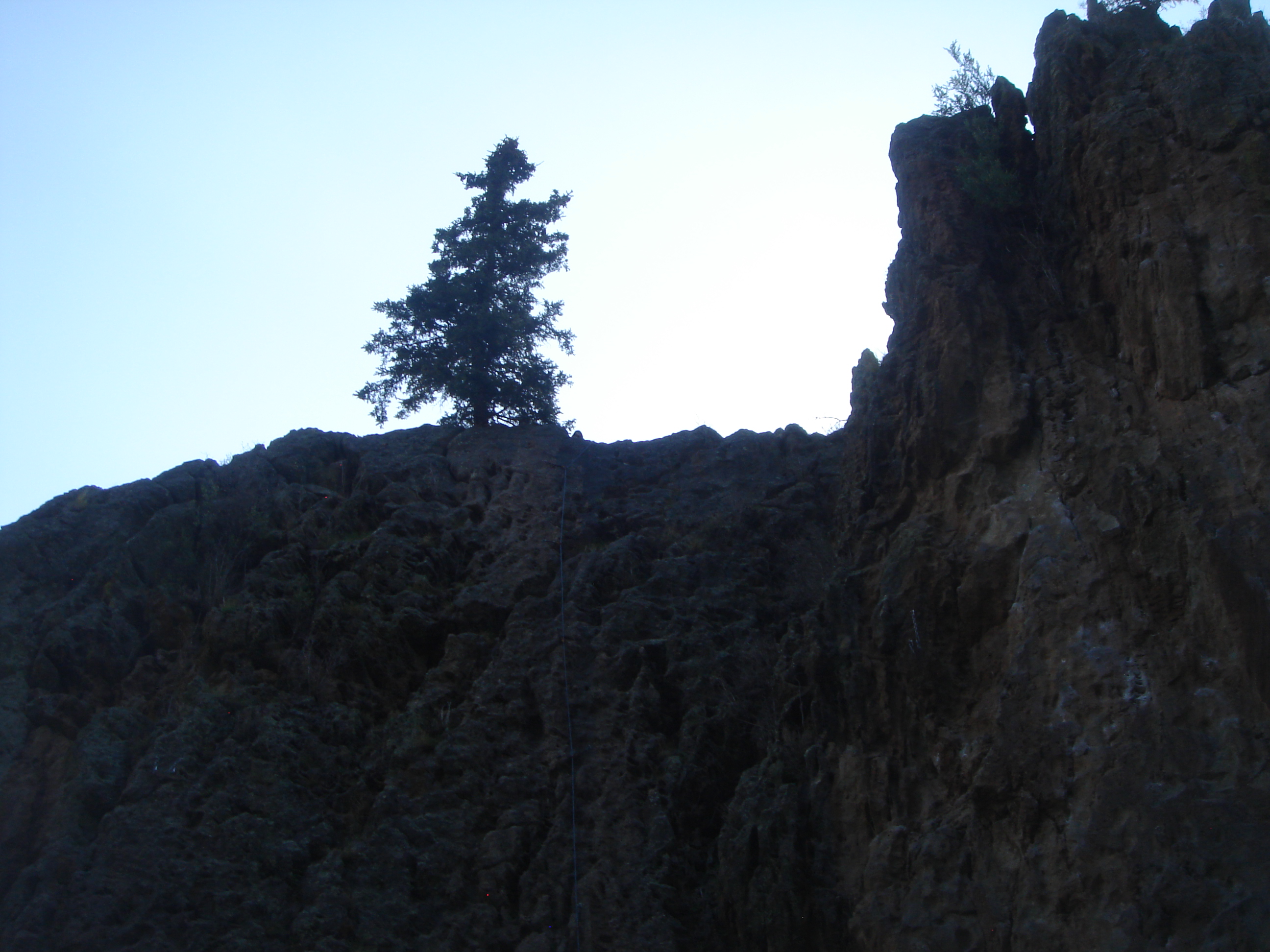 Uploaded image