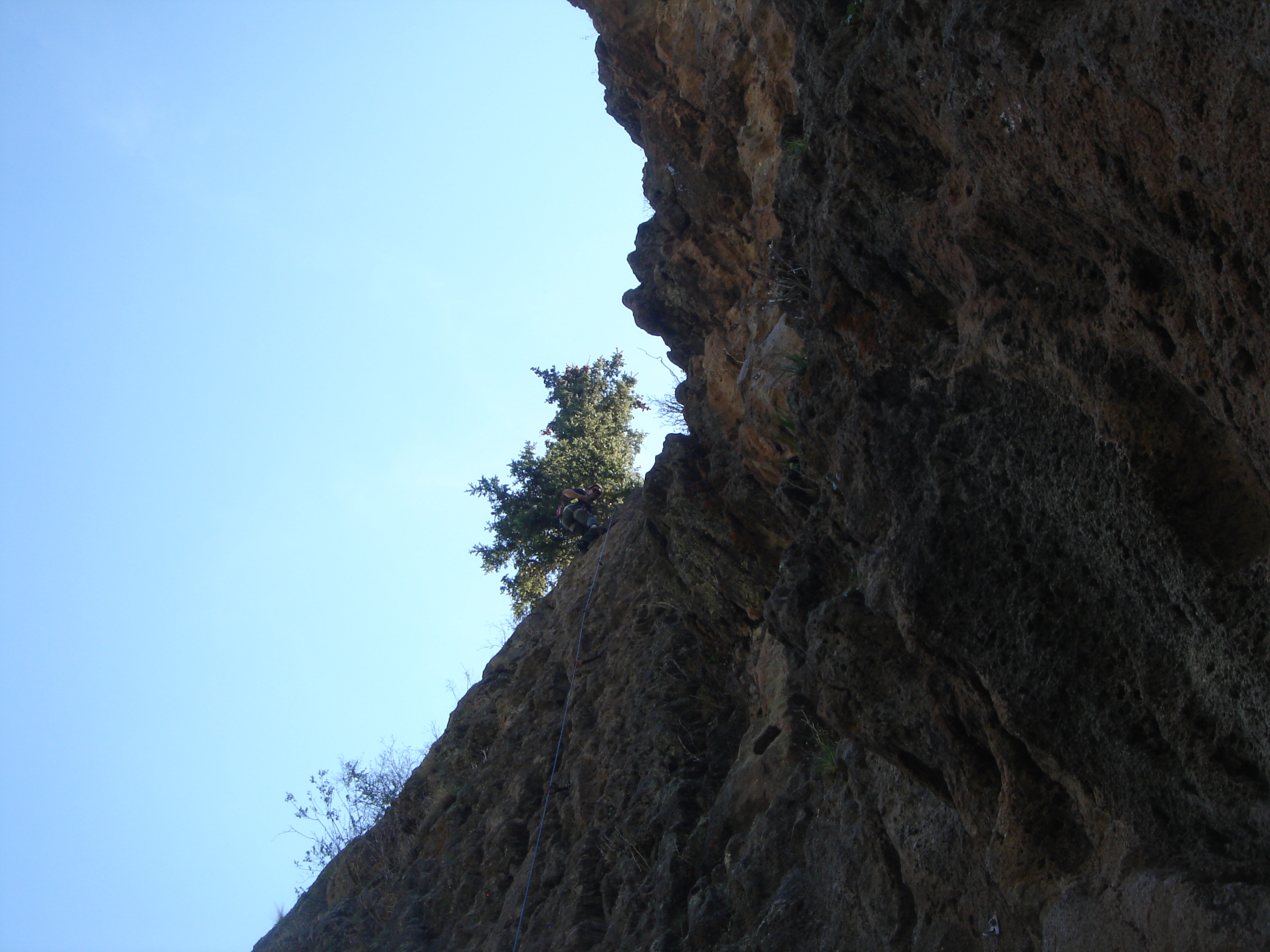 Uploaded image