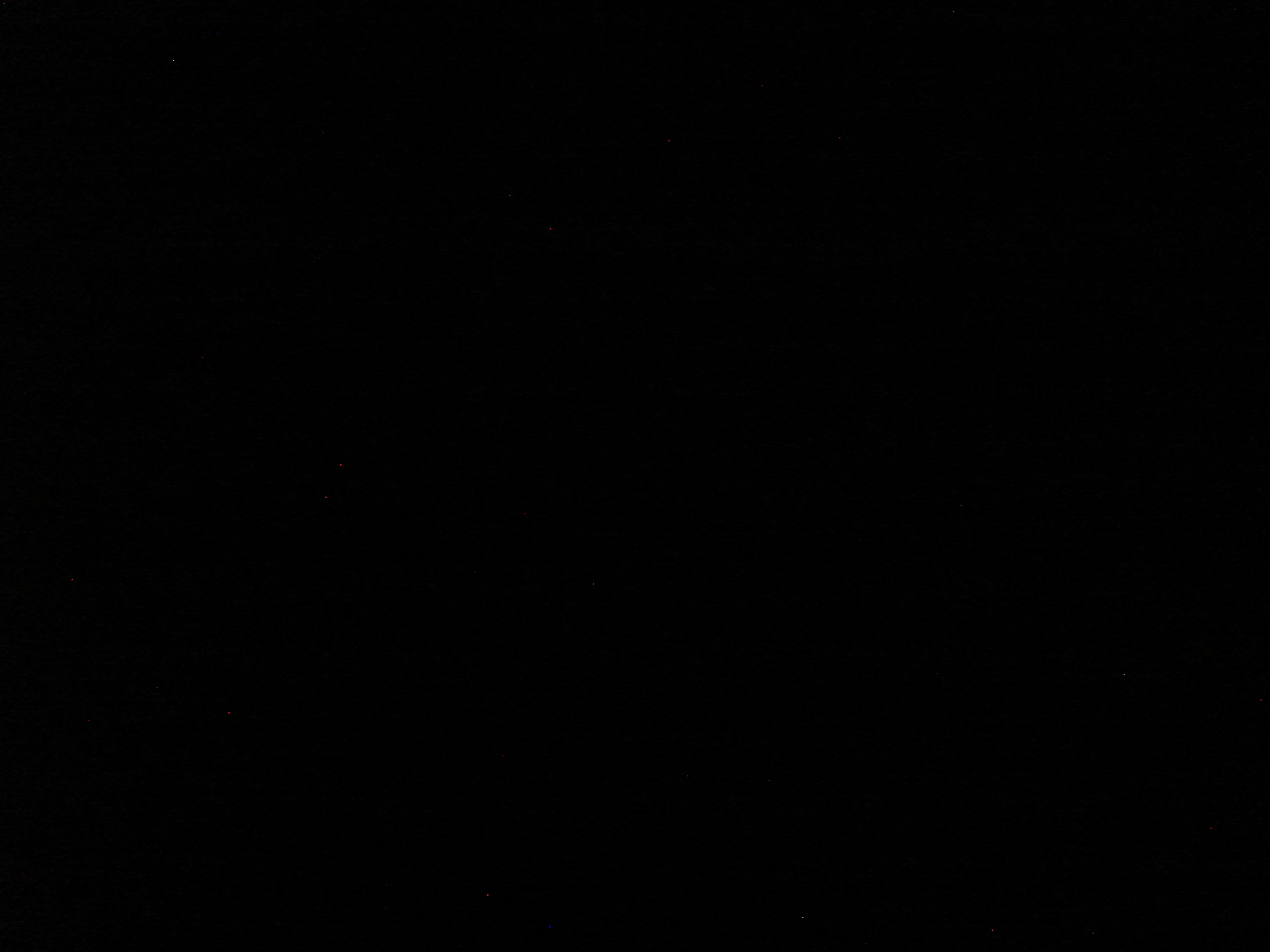 Uploaded image