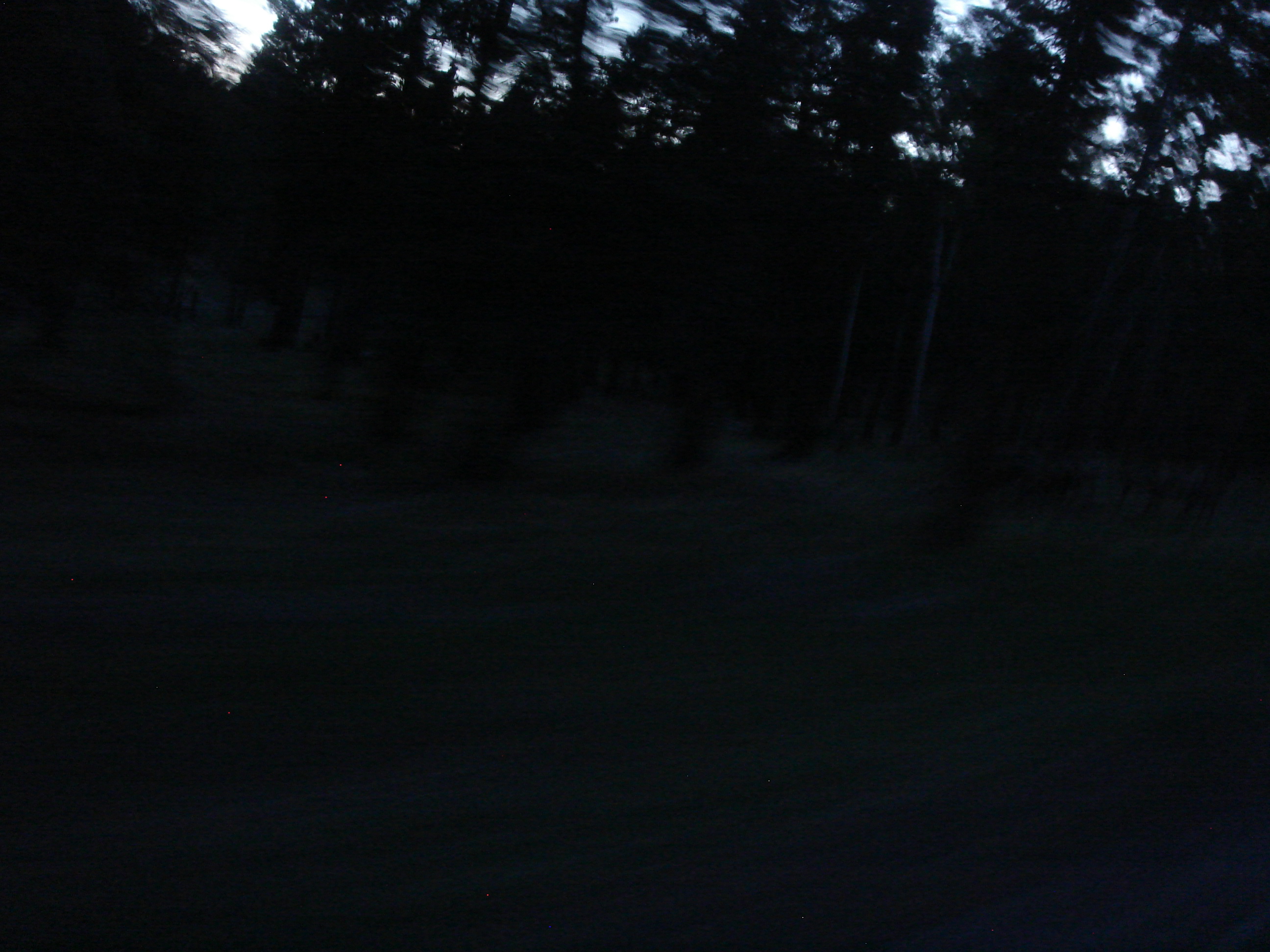 Uploaded image