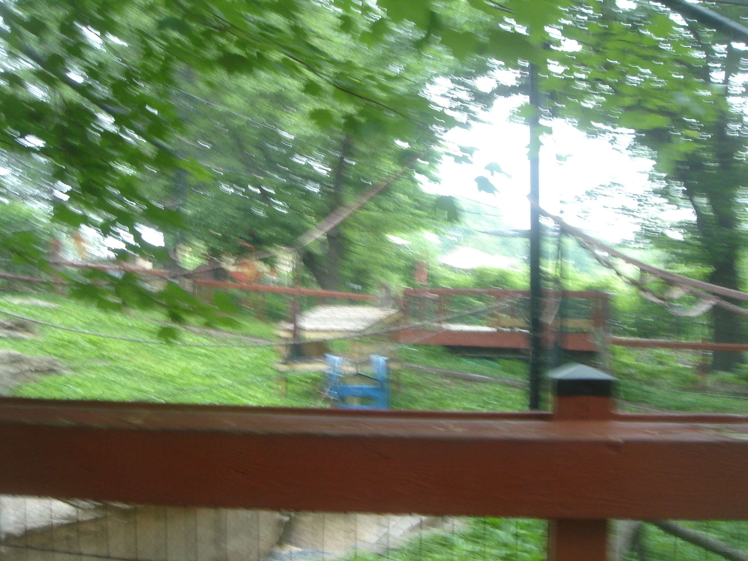 Uploaded image
