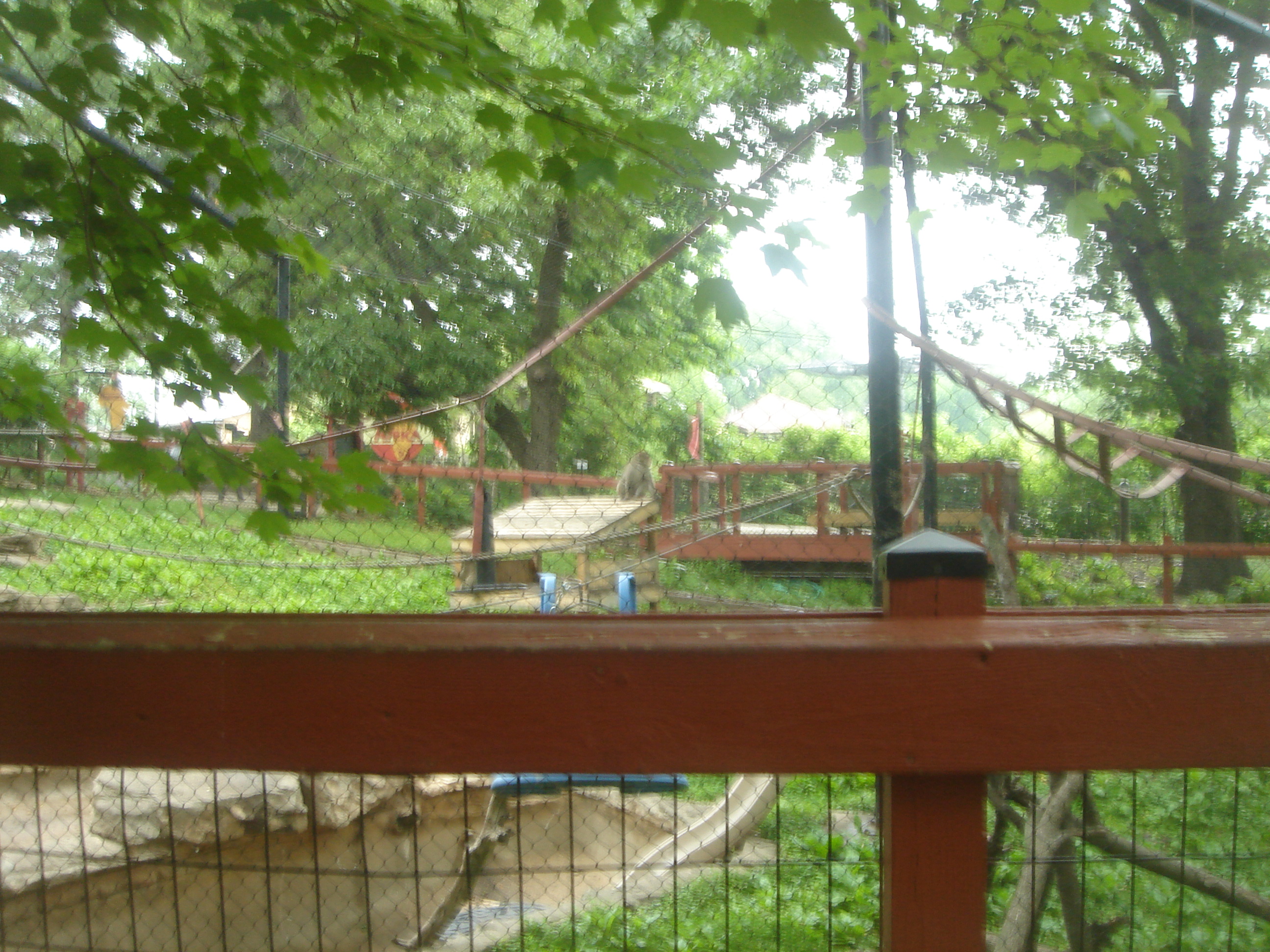 Uploaded image