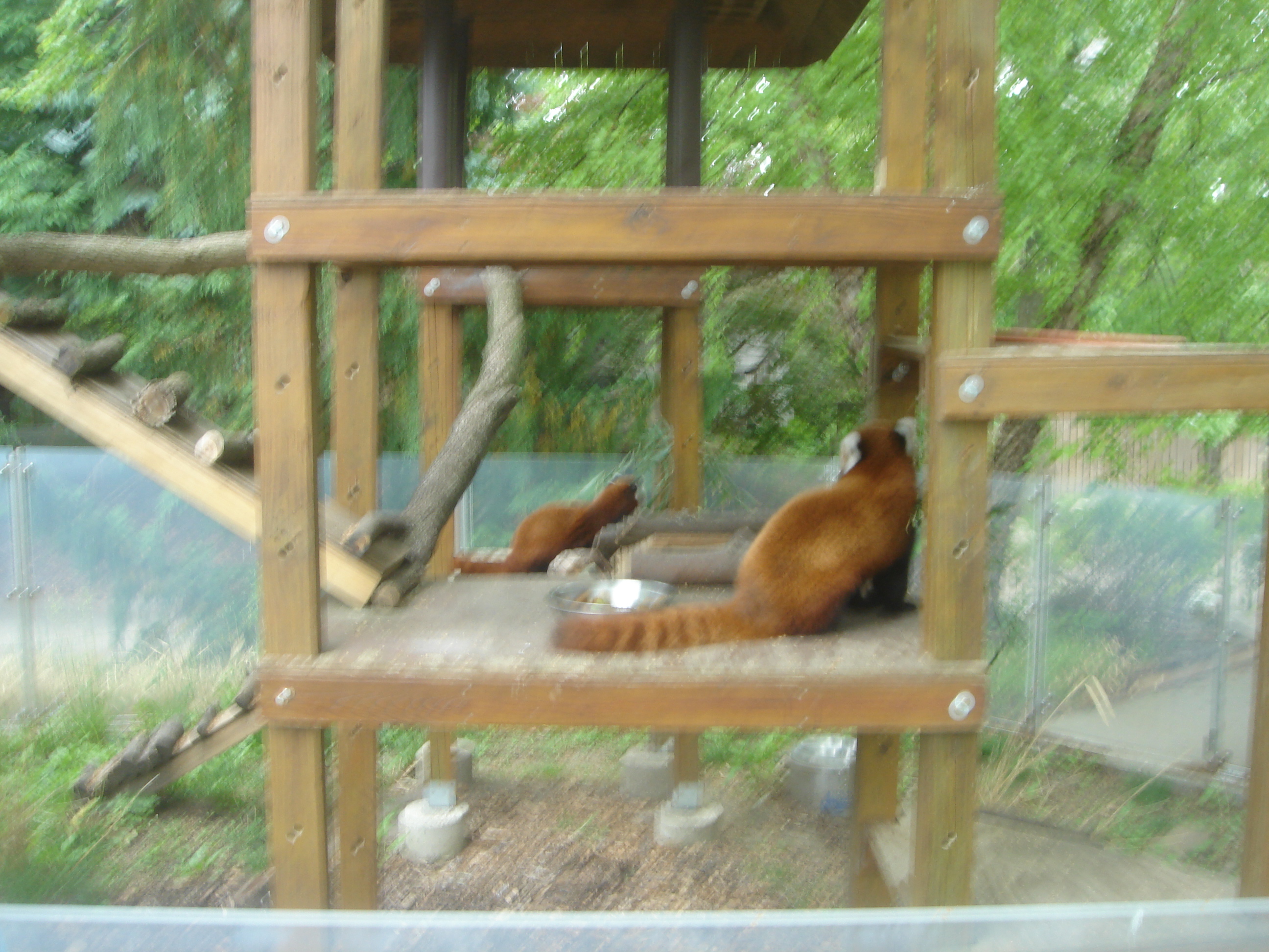 Uploaded image