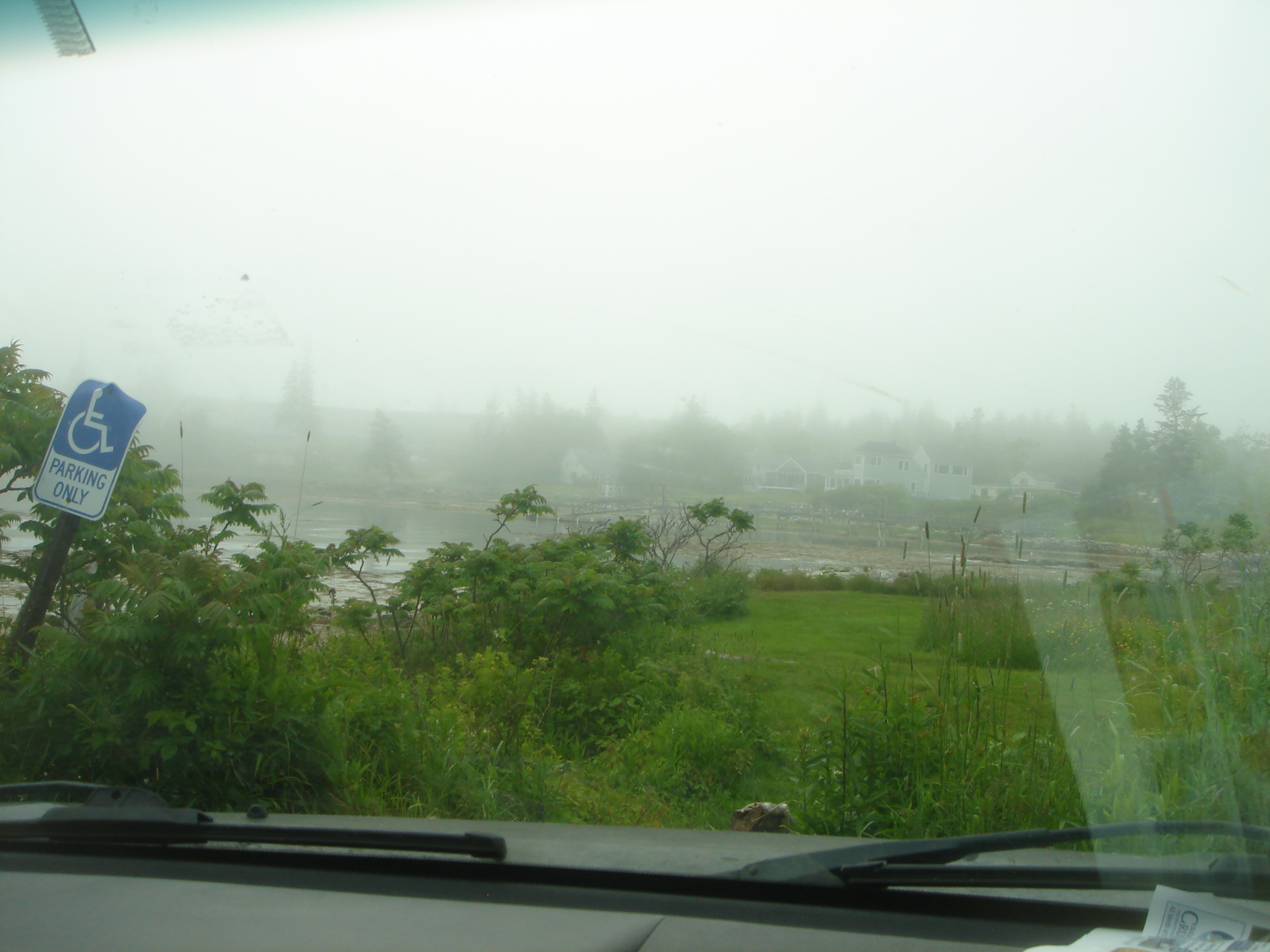 Uploaded image