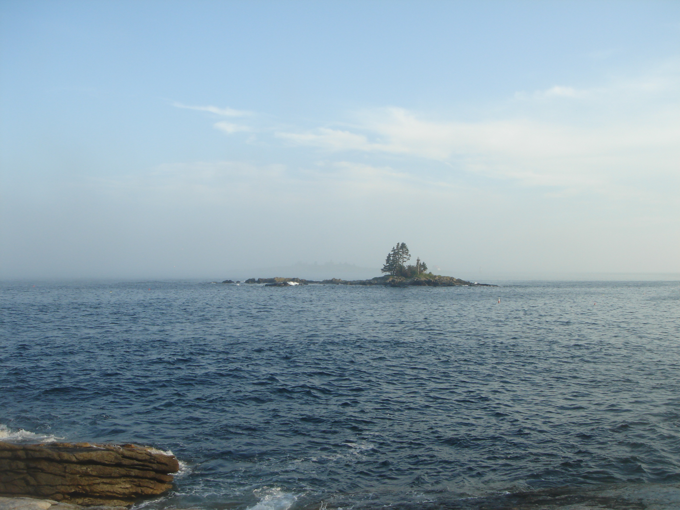 Uploaded image