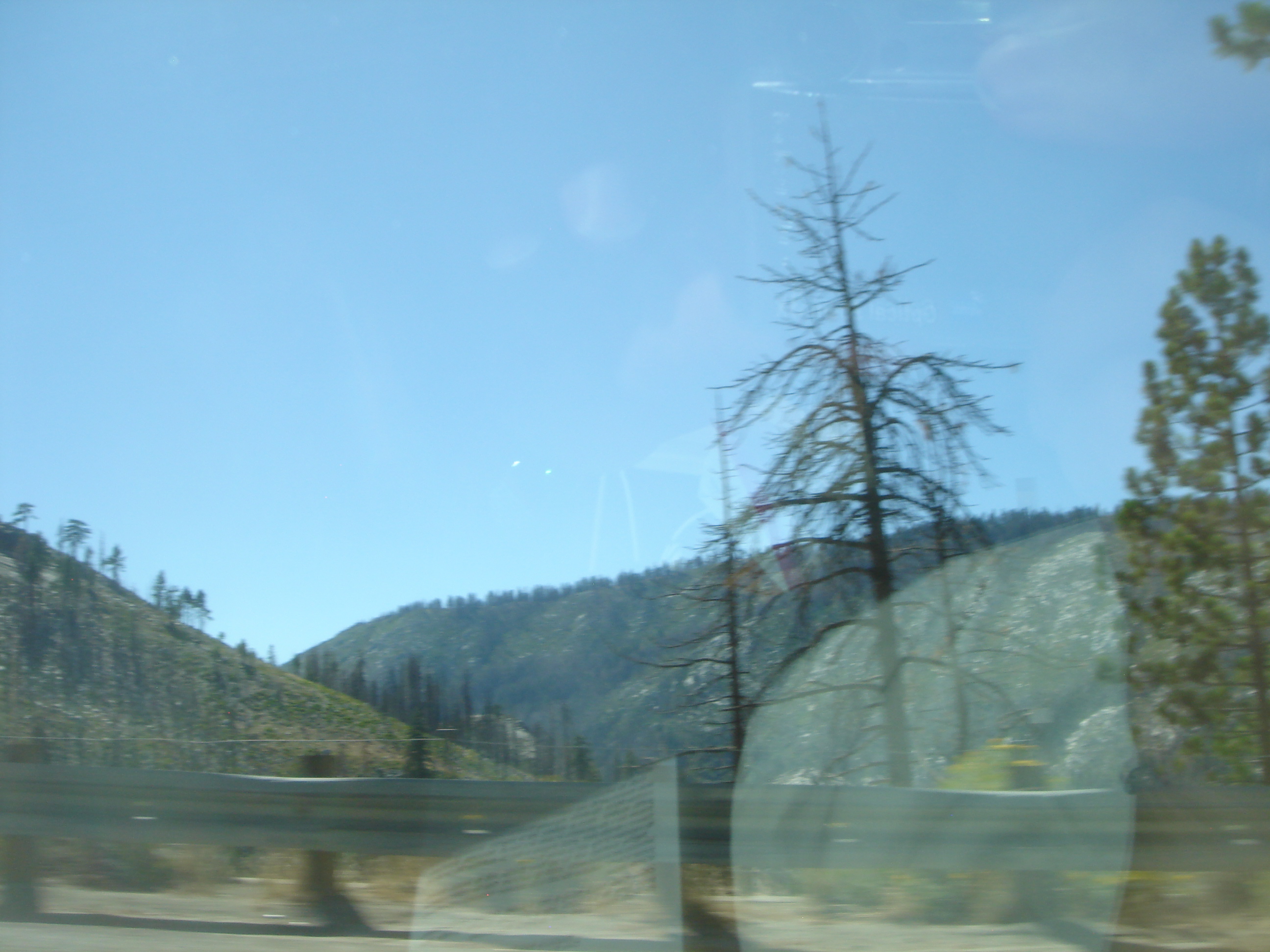 Uploaded image