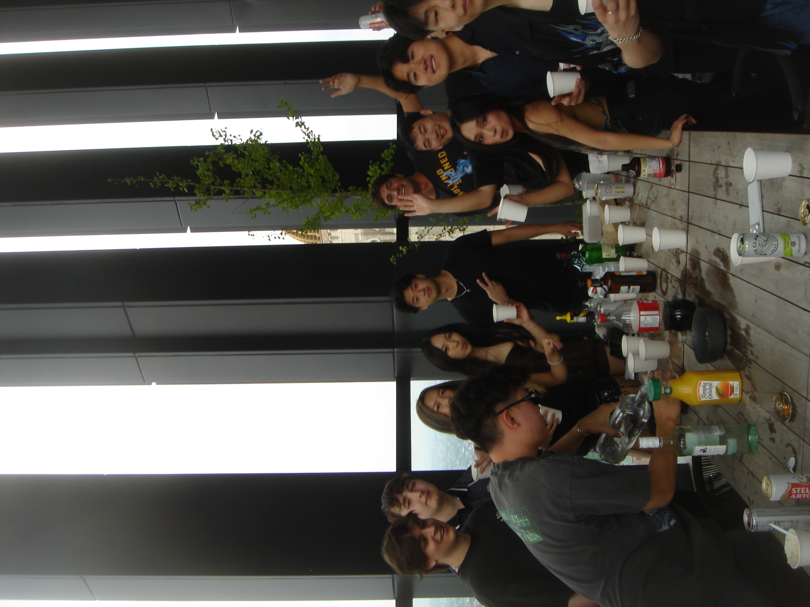 Uploaded image