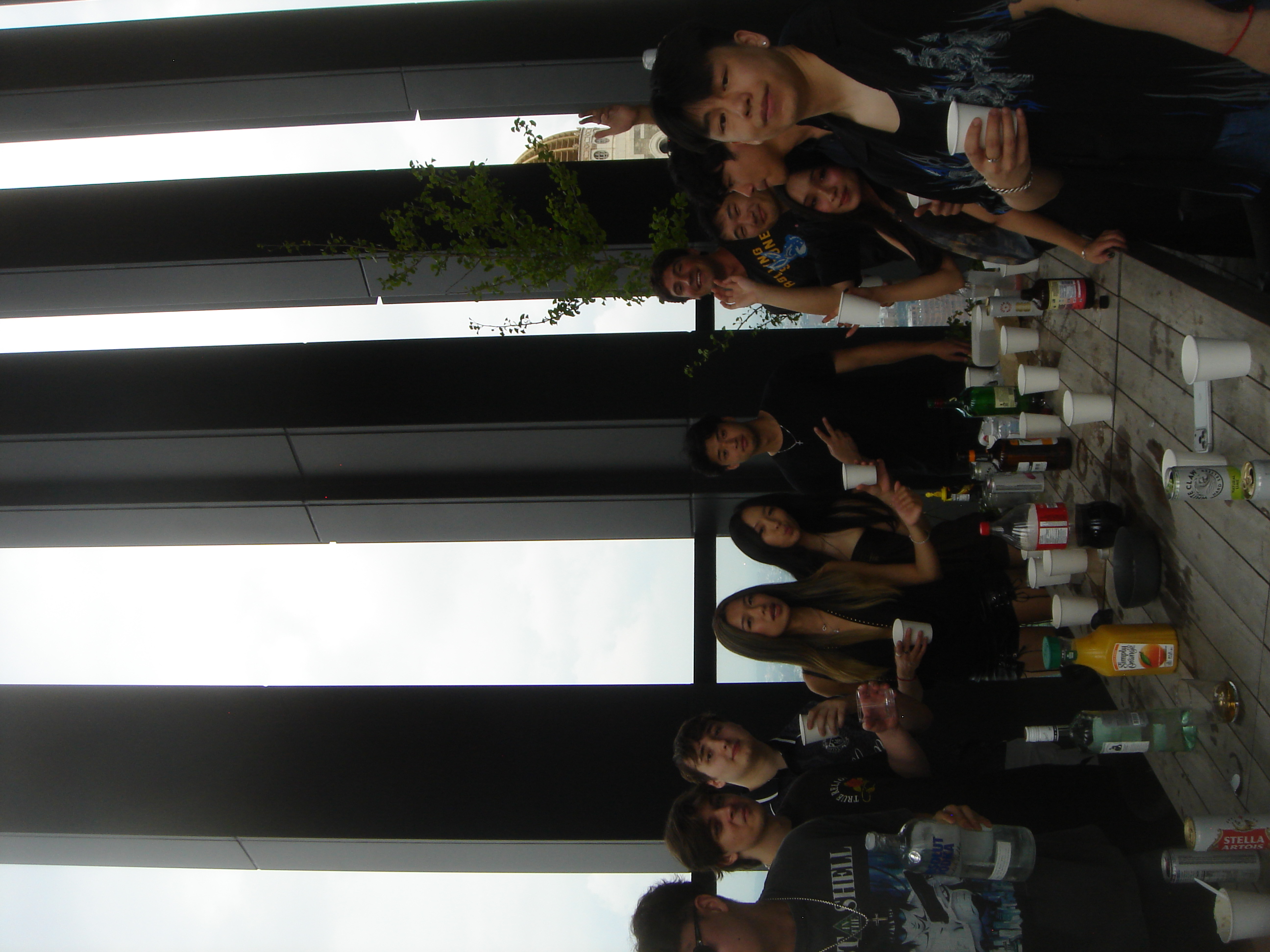 Uploaded image