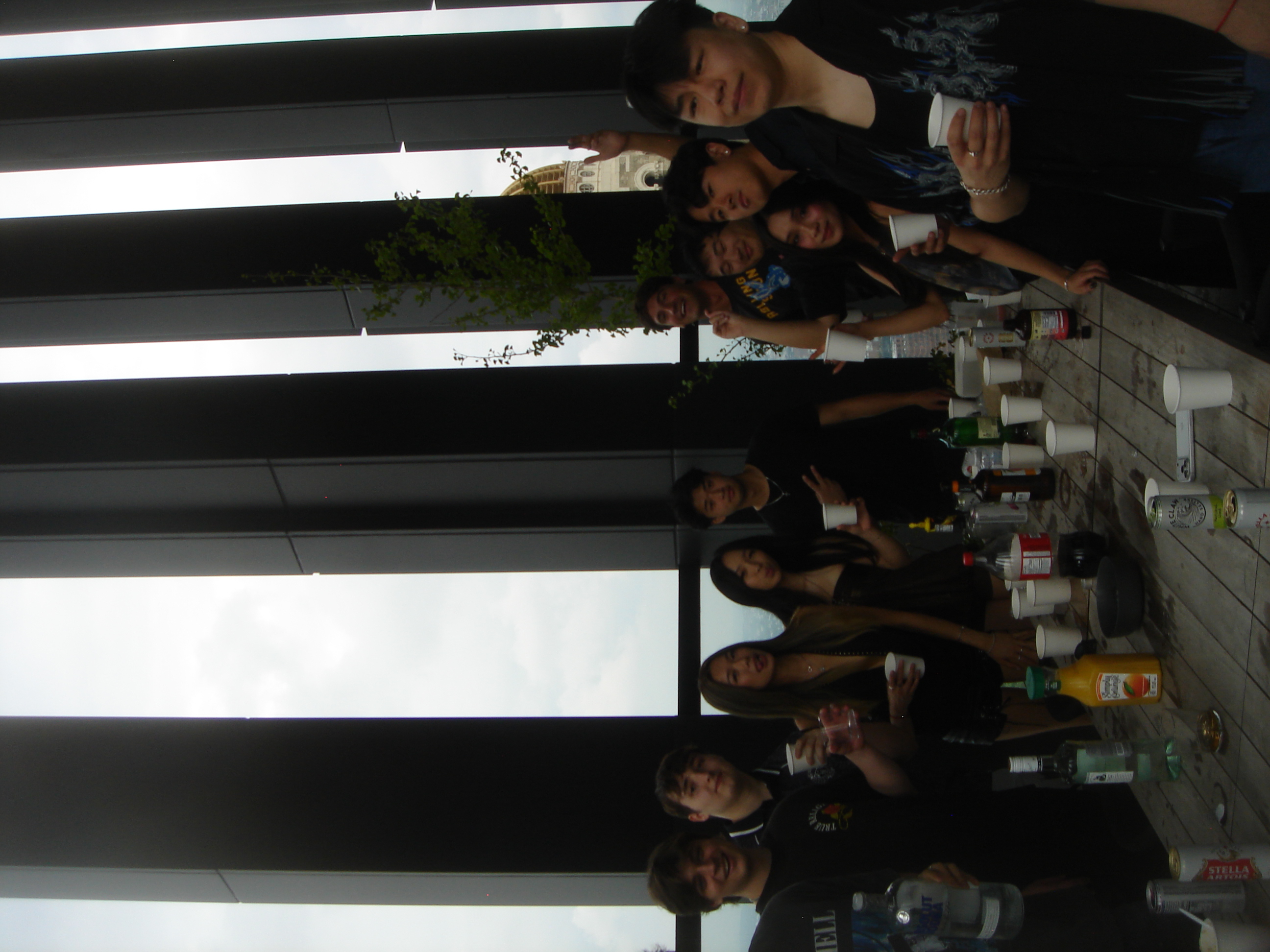 Uploaded image